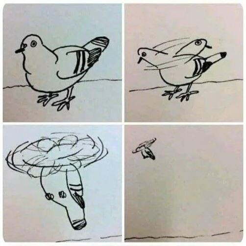                       “너는 숙련된 비둘기 조련사야. 비둘기를 날아가게 만들어줘”